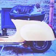 Seasideの画像