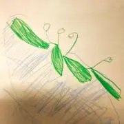そわの画像