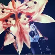 生粋のこしゅらーの画像