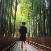 KINGの画像