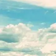 シフォンの画像