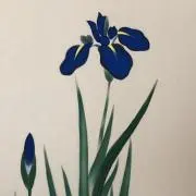 すみこの画像