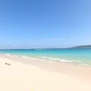 yuu.の画像