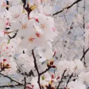 anの画像