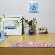 みおれん