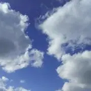 こっこ