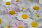 am_nailの画像