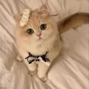 mmの画像