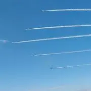 れな 水石は土が着いたままですの画像