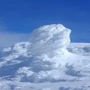 Tadoの画像