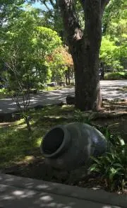 どんどんの画像