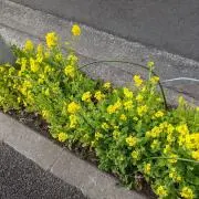 URIO  402の画像