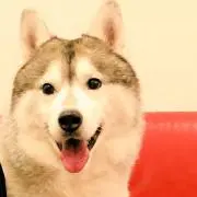おっふ