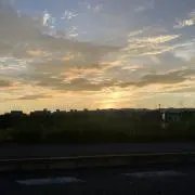 Mの画像