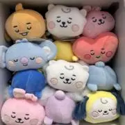 きのこの画像
