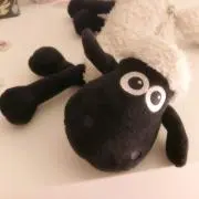 さやの画像