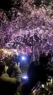 ユナパパの画像