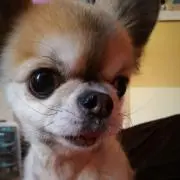 YUKI★プロフ見てね★