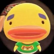 リチャードの画像
