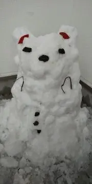 しろふわの画像
