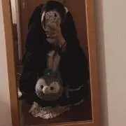Anne鹿の画像