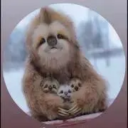 くまきち