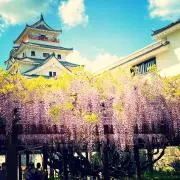 コタロン 即日発送 纏め割引有り様専用】木製デスクセット2セット 直接