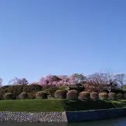 あおぞらの画像