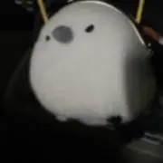 せうゆ 断捨離中の画像