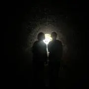ネギの画像