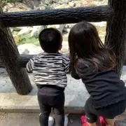 わさびの画像