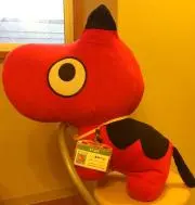 きんたろーの画像