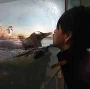 makoto”