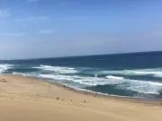 yuの画像
