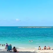 moanaの画像