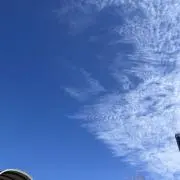 みみの画像