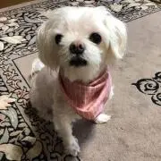 ♡恋空125♡