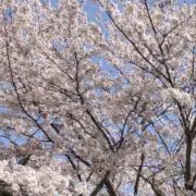 まとめ売り大歓迎の画像