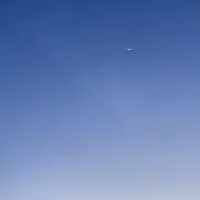 mameの画像
