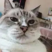 33☆の画像