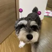 erimama