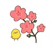 きなこもちちゃんの画像