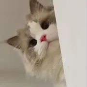熱々ごはんの画像