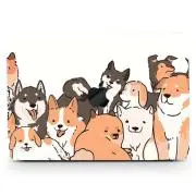 アマチュア！の画像