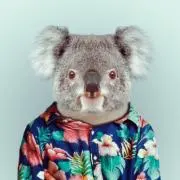 びっきーの画像
