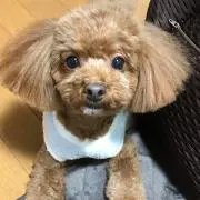 みぃ