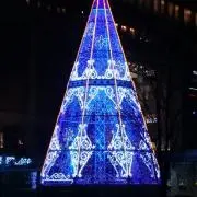 いいたこ