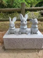 かっぱさんの画像