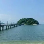 秋海☆即購入OKの画像