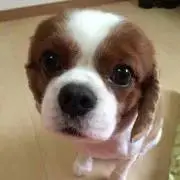 Y★断捨離ちゃんの画像